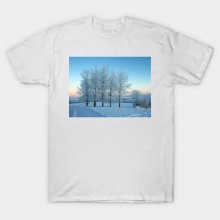 Winter Trees in Ireland T-Shirt